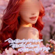 ヒメ日記 2026/03/31 12:02 投稿 とあ 石川小松ちゃんこ