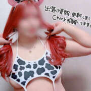 ヒメ日記 2026/04/07 12:42 投稿 とあ 石川小松ちゃんこ