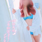 ヒメ日記 2026/04/11 17:22 投稿 とあ 石川小松ちゃんこ