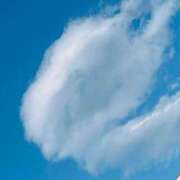 しゅり 出勤しました(^^) ファーストレディ(博多)