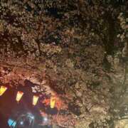 キキ こんにちは スイカ