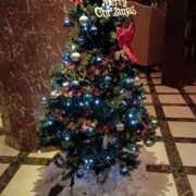 ヒメ日記 2025/12/25 18:08 投稿 麻宮 さえ こあくまな熟女たち 高松店（KOAKUMAグループ）