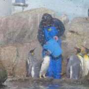 ヒメ日記 2025/02/16 09:40 投稿 城間（しろま） 熟女の風俗最終章 名古屋店