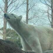 ヒメ日記 2025/02/21 05:20 投稿 城間（しろま） 熟女の風俗最終章 名古屋店