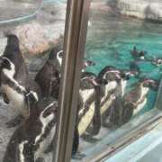 ヒメ日記 2025/02/23 01:20 投稿 城間（しろま） 熟女の風俗最終章 名古屋店