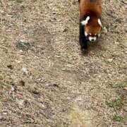 ヒメ日記 2025/02/26 22:50 投稿 城間（しろま） 熟女の風俗最終章 名古屋店