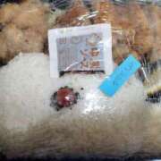 ヒメ日記 2025/03/13 20:08 投稿 城間（しろま） 熟女の風俗最終章 名古屋店