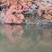 ヒメ日記 2025/05/13 02:50 投稿 城間（しろま） 熟女の風俗最終章 名古屋店