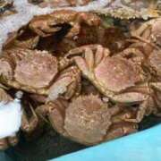 ヒメ日記 2025/09/25 10:28 投稿 城間（しろま） 熟女の風俗最終章 名古屋店