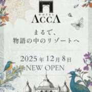 ヒメ日記 2025/12/11 22:42 投稿 城間（しろま） 熟女の風俗最終章 名古屋店