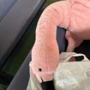 ヒメ日記 2026/04/20 00:52 投稿 城間（しろま） 熟女の風俗最終章 名古屋店