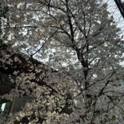 かこ 本日 奥鉄オクテツ神奈川店（デリヘル市場グループ）