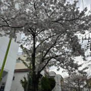 かこ 先日、 奥鉄オクテツ神奈川店（デリヘル市場グループ）