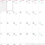 ヒメ日記 2025/11/26 08:13 投稿 藤田　ニコ Amateras～アマテラス～