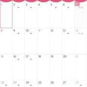 ヒメ日記 2026/02/07 09:20 投稿 藤田　ニコ Amateras～アマテラス～