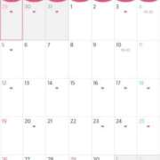 ヒメ日記 2026/03/24 09:30 投稿 藤田　ニコ Amateras～アマテラス～