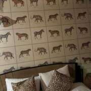 ヒメ日記 2024/12/12 09:03 投稿 るい 諭吉専科