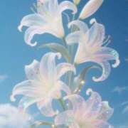 るい お礼🫶 諭吉専科