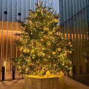 ヒメ日記 2024/12/24 04:18 投稿 春風(はるかぜ) 人妻出逢い会 百合の園 山の手本店