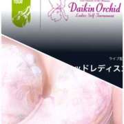 ヒメ日記 2025/03/07 05:08 投稿 春風(はるかぜ) 人妻出逢い会 百合の園 山の手本店