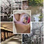 ヒメ日記 2025/03/31 16:08 投稿 春風(はるかぜ) 人妻出逢い会 百合の園 山の手本店