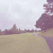 ヒメ日記 2025/07/17 09:07 投稿 春風(はるかぜ) 人妻出逢い会 百合の園 山の手本店