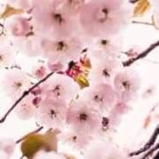 ヒメ日記 2026/03/23 06:17 投稿 春風(はるかぜ) 人妻出逢い会 百合の園 山の手本店