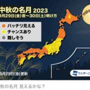 ヒメ日記 2023/09/29 14:08 投稿 一ノ宮　海沙 人妻が愛人