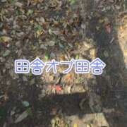 ヒメ日記 2024/12/22 12:53 投稿 つかさ 大塚デリヘル倶楽部