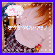 ヒメ日記 2025/04/11 10:04 投稿 つかさ 大塚デリヘル倶楽部