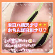 ヒメ日記 2025/05/05 13:07 投稿 つかさ 大塚デリヘル倶楽部
