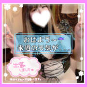 ヒメ日記 2025/06/11 09:56 投稿 つかさ 大塚デリヘル倶楽部