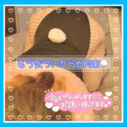 ヒメ日記 2025/06/21 12:43 投稿 つかさ 大塚デリヘル倶楽部