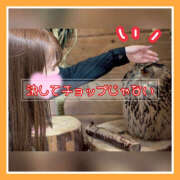 ヒメ日記 2025/07/15 15:42 投稿 つかさ 大塚デリヘル倶楽部