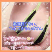 ヒメ日記 2025/07/21 15:04 投稿 つかさ 大塚デリヘル倶楽部