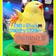 ヒメ日記 2025/09/28 22:33 投稿 つかさ 大塚デリヘル倶楽部