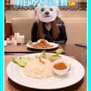 ヒメ日記 2025/11/17 20:32 投稿 つかさ 大塚デリヘル倶楽部