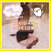 ヒメ日記 2025/11/27 09:52 投稿 つかさ 大塚デリヘル倶楽部