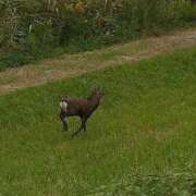 ヒメ日記 2025/10/11 13:27 投稿 みさと ぽっちゃり素人専門店 愛されぽっちゃり倶楽部 古川店