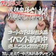 ヒメ日記 2025/12/17 15:40 投稿 のぞみ 奥鉄オクテツ和歌山