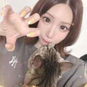 ヒメ日記 2025/05/22 17:19 投稿 わかな Garter Princess＆Mrs（ガータープリンセス＆ミセス）