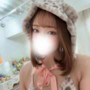 ヒメ日記 2025/03/21 06:59 投稿 さんご チューリップ福井本館