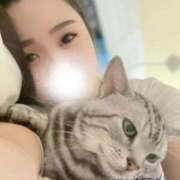 ヒメ日記 2025/03/08 18:13 投稿 ゆうな コスプレアカデミー