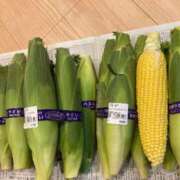ヒメ日記 2026/08/24 09:50 投稿 水原かな 五十路マダム富山店(カサブランカグループ)
