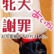 ヒメ日記 2024/03/23 00:04 投稿 あいか 逢って30秒で即尺