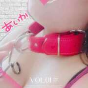 ヒメ日記 2025/03/08 14:43 投稿 あいか 逢って30秒で即尺