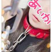 ヒメ日記 2025/05/02 20:04 投稿 あいか 逢って30秒で即尺