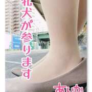 ヒメ日記 2025/05/06 21:39 投稿 あいか 逢って30秒で即尺