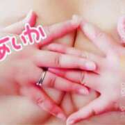 ヒメ日記 2025/06/15 00:53 投稿 あいか 逢って30秒で即尺