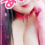 ヒメ日記 2025/06/20 19:13 投稿 あいか 逢って30秒で即尺